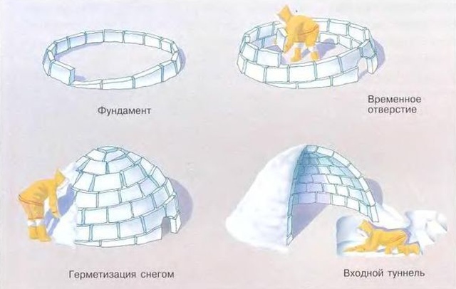 Как эскимосы строят иглу (5 фото)