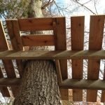 Как устроить домик на дереве