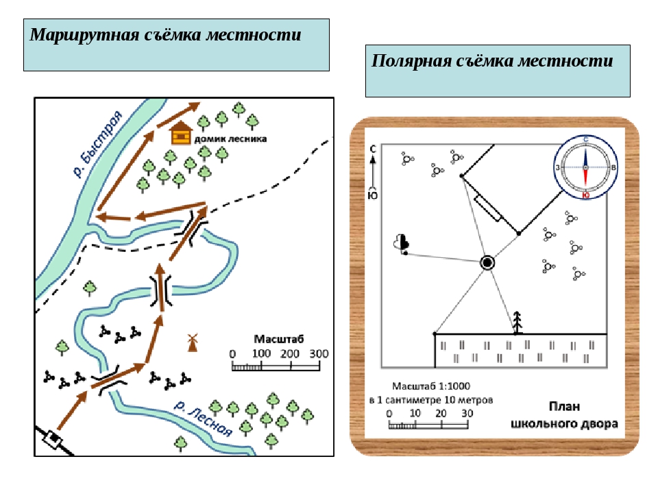 По плану местности определите расстояние от школы до отдельно стоящего дерева масштаб в 1см 50