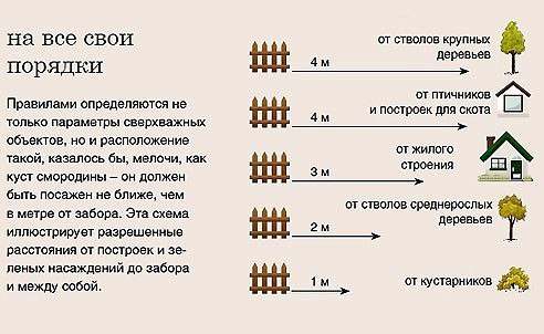 На участке в городе